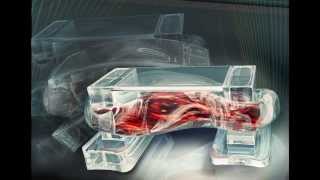 MusclePowered BioBots Soft biological machines take a step forward [upl. by Ayor608]