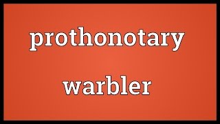 Prothonotary warbler Meaning [upl. by Berthold]