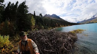 Upper Twin Lake Beaver Lodge Dick Proenneke showed me this lodge over 30 years ago [upl. by Langley]