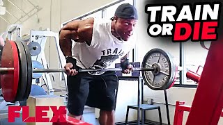 Phil Heath Massive Back Workout  Train Like A Champion [upl. by Damales]