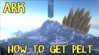 How to get Pelt in ARK Survival Evoled [upl. by Anivad]