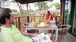 Camping Yelloh Village Les Tournels  in SaintTropez  Var  Provence  De trailer 2014 [upl. by Afra]