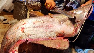 14 KG Giant Wallago Attu Catfish Cutting In Bangladesh Fish Market  Fish Cutting Skills [upl. by Groves]