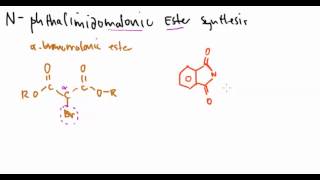 Amino Acid 20 Malonic Ester Synthesis [upl. by Thurber914]