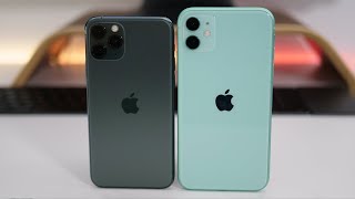 iPhone 11 Pro vs iPhone 11  Which Should You choose [upl. by Barnebas]