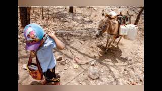 POBREZA EXTREMA EN LA GUAJIRA [upl. by Perren291]