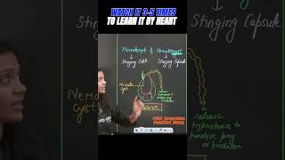 NEMATOCYTE amp NEMATOCYST  QuickShot Biology medicalentrancencertbiologyneet2024neetpreparation [upl. by Eeloj]