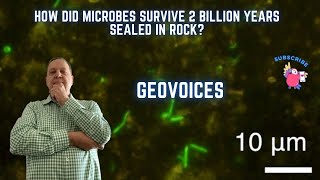 How did microbes survive 2 billion years sealed in rock [upl. by Connelley]