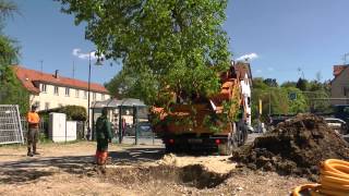 Großbaumverpflanzung von der Ledergasse an den Josefsbach [upl. by Burrow]