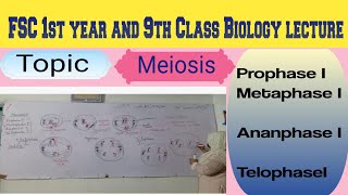 Topic Meiosis Prophase Metaphase 1 Anaphase 1 Telophase 1 delivered by Maam Samina Khuram 👍 [upl. by Annaul]