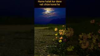 hAme halak kar dene vali chize shorts ytshorts islamic islam viral [upl. by Eylrahc]