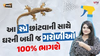 આ સ્પ્રે છાંટવાની સાથે ઘરની બધી જ ગરોળીઓ 100 દોટ મૂકીને ભાગશે  Chalo Share Karu [upl. by Eener]