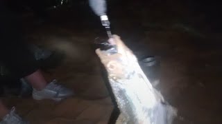 💥La Mamacha quotMAHIDAquot TAMBIÉN PESCA 🎣💥 PESCA NOCTURNA BAJO EL PUENTE CHACO CORRIENTES [upl. by Ahselef]