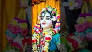 🌼🌼Radhe Radhe🌼🌼 shortshort videoviral songshort feed Golpo kothay Debdeep🌼🌼 [upl. by Kerad282]