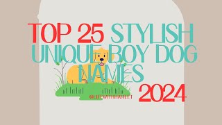 ‼️😲HEY WHATS THIS⁉️😮😯‼️ THE TOP 25 UNIQUE BOY DOG NAMES OF 2024 [upl. by Yoshi]