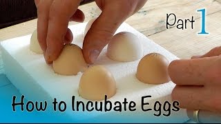 How to Incubate and Hatch Eggs  Part 1 of 3  Setting up the Incubator [upl. by Mudenihc]