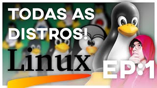 NAVEGANDO NO FUNDO DO MUNDO LINUX EP1 [upl. by Yacov449]