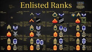 US Military All Branches ENLISTED Ranks Explained [upl. by Nicole]