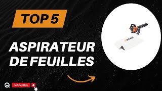 Top 5 Meilleur Souffleur Aspirateur de Feuilles 2024 [upl. by Ahtan132]