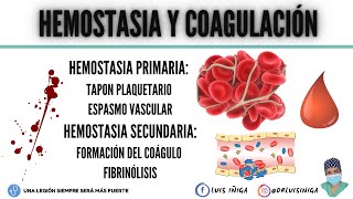 Hemostasia y Coagulación Tapón plaquetario Mecanismo general Vía intrínseca y extrínseca [upl. by Millan]