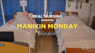 Manikin Mondays  Episode 22 “Bilirubin” [upl. by Kwabena]