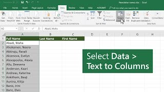 Split data into different columns in Microsoft Excel [upl. by Sirtimid]