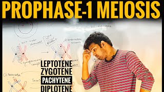 Prophase1  Meiosis Part3  Vinay Biology [upl. by Eibmab]