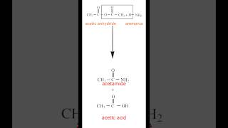 Ammonolysis of Acetic anhydride  Acetic acid  Acetamide  Organic Chemistry  Class 12 [upl. by Falk]