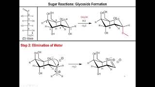 Lec10  Alkylation and Acetylation of Sugars [upl. by Esau]