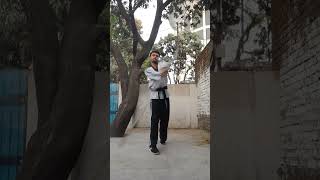 BO STAFF  Lathi  stick  martial arts  training for beginners  tutorial  fight  at home [upl. by Nagem]