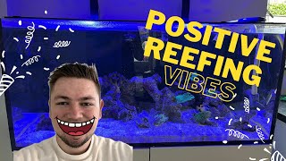 Upgrade and positive changes  Reef Adventure Update 8 [upl. by Asusej]