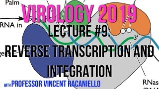 Virology Lectures 2019 9 Reverse Transcription and Integration [upl. by Ettenan]