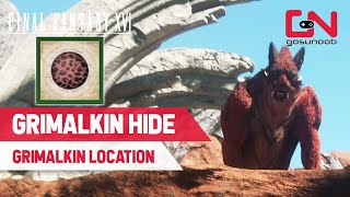 How to Get Grimalkin Hide in Final Fantasy 16  Grimalkin Location [upl. by Anigriv]