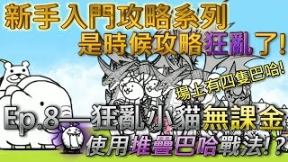 貓咪大戰爭 新手向攻略Ep8—狂亂小貓—★☆無課金攻略☆★ [upl. by Aleusnoc]