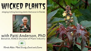 Wicked Plants with Patti Anderson PhD [upl. by Dnama]