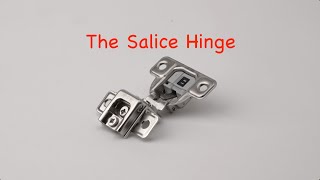 The Salice Hinge specs and features [upl. by Fronnia798]