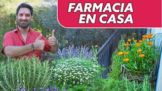 10 Plantas Medicinales FÁCILES para tu Huerta Jardín Propiedades y Cuidados [upl. by Ackerman]