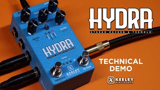 Keeley Electronics HYDRA Stereo Reverb and Tremolo  Technical Demo [upl. by Almap]