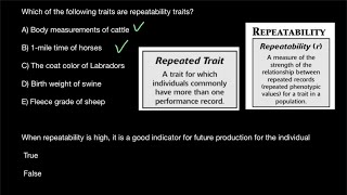 Breeding  repeatability of traits [upl. by Meng]