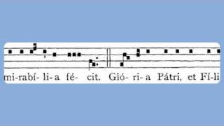 Puer Natus Est Nobis Christmas Day Introit [upl. by Kcub]