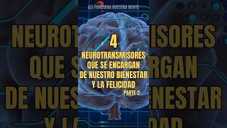 LA OXITOCINA neurotransmisores neuronas psicologia [upl. by Nedrob]