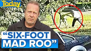 Man fights kangaroo for six minutes in Victoria  Today Show Australia [upl. by Robinson]