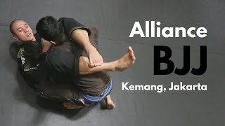 Brazilian Jiu Jitsu Indonesia  Alliance BJJ Kemang [upl. by Adnah]