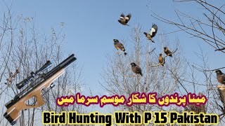 Bird Hunting  Hunting In Pakistan 2024 Hunting Tips  Parndon Ka Shikar  صيد الطيور [upl. by Onibas517]