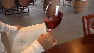 Beginners Guide On Tasting Wine [upl. by Publea901]