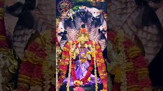 Day 15 Annual Festival 2024 Enfield Nagapooshani Ambaal’s TempleLondon Part 1 [upl. by Vedis]