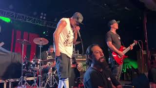 HED PE  “Renegade” Live [upl. by Ilowell376]