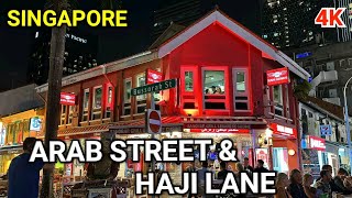 Singapores Trendy Nightlife Destinations  Arab Street and Haji Lane  Singapore Kampong Glam [upl. by Nilrev]