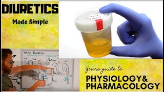 Diuretics CVS Pharmacology  part 1 [upl. by Lamb864]