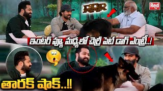 NTR Shock On Ram Charans Pet Dog Sudden Entry In RRR Promotions  MM Keeravaani  Rajamouli  REDTV [upl. by Akselav122]